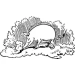 Vector image of wild pig in nature